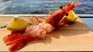 The Best Way To Eat Raw Spot Prawns (Shrimp - Amaebi)