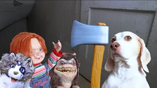 World's Cutest Assassin: Funny Dog Maymo Fight Scene Compilation