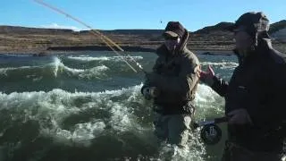 Jurassic Lake Argentina