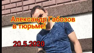 Пропавшая Александр Габозов 'Дома 2' загремела в тюрьму