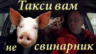 Такси - не свинарник! Или "какие бутерброды я не понял?"