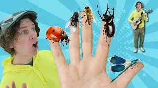 Family Finger Song - Bugs Part 2 with Matt | Nursery Rhymes, Children's Song | Learn English Kids