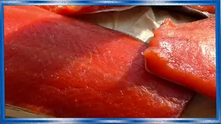 Малосольный лосось,кета, горбуша длительного хранения в масле, рецепты из рыбы от fisherman dv.27rus