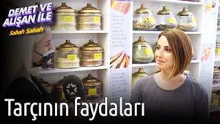 Demet ve Alişan ile Sabah Sabah | Tarçın'ın Faydaları