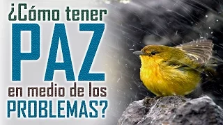 Las mejores reflexiones cristianas - ¿Como tener paz en medio de los problemas de la vida?