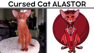 Cursed cat Alastor - Best funniest animal videos of the week | Cat Memes