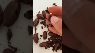 Домашний вкусный шоколад из какао боба