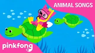 Under the Sea | Animal Songs | Pinkfong Songs for Children