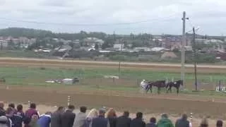 1 пара РУССКИХ ТРОЕК-Емельяново 15.08.15 (Лошади-Horse–Animal-racing-конь-смотреть-онлайн-скачки)