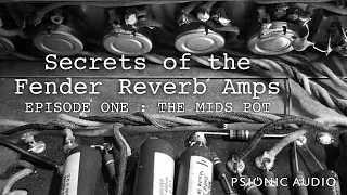 Secrets of the Fender Reverb Amps | Episode One : The Mids Pot