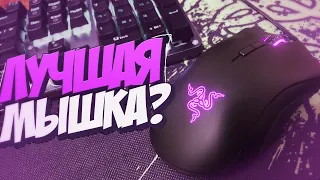 🍇МОЯ НОВАЯ МЫШКА RAZER DEATHADDER ELITE! ОБЗОР