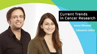 Current Trends in Cancer Research:  Cancer Genomes, Genetic Tools and Immunotherapy