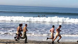 CORONADO SURF AND SEALS