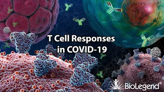 T cell Responses in COVID-19