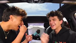 Brent Rivera roasted by a monkey