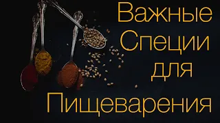 Важные специи для пищеварения. Аюрведа для всех.