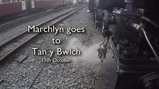 Marchlyn goes to Tan y Bwlch