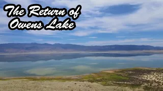 Ancient Owens Lake Has Water Once Again | Lone Pine, CA