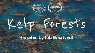 Kelp Forests: The Sequoias of the Sea