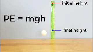The Physics of Bouncing a Ball | Science Project