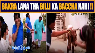 Puttar Bakra Lana Tha Billi ka Baccha Nahi 😂🤭 Momo | Bulbulay