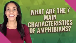 What are the 7 main characteristics of amphibians?
