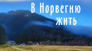 Новички переехали жить на ферму в Норвегии.