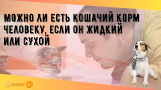 Можно ли есть кошачий корм человеку, если он жидкий или сухой