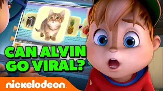 Can Alvin And The Chipmunks Go VIRAL On Social Media?! | ALVINNN!!! | Nickelodeon Cartoon Universe