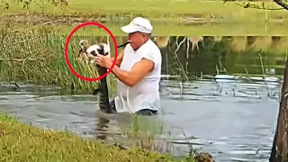Florida man wrestles puppy from jaws of alligator | NEWS