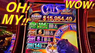 THE NEW CATS SLOT MACHINE