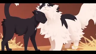 Коты-воители (Горелый)Клип-Идеальный мир