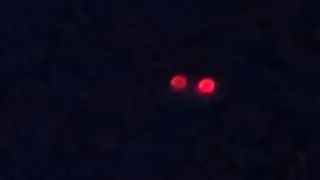 NEW REAL Mothman Sighting 2020