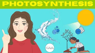 Photosynthesis | How Plants make their own food? learn science with animation