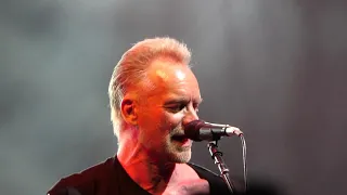 Sting - Desert Rose - Kaaboo Texas