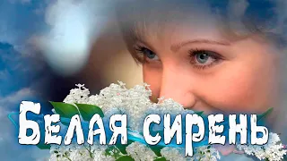 Премьера! Просто Супер! Белая сирень!