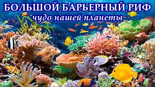 БОЛЬШОЙ БАРЬЕРНЫЙ РИФ - Чудо нашей планеты