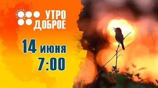 «УТРО ДОБРОЕ!» 14 июня 2023 года.