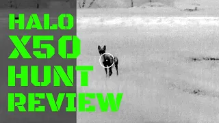 N-Vision Halo X50 | First Hunt and Review