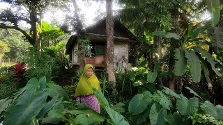 Pemberani ‼️ Sang Suami Sudah Tiada Ibu Ini Tinggal Sendiri Di Rumah Sederhana Pinggir Hutan