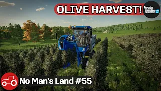 Harvesting Olives & Sunflowers, Removing Weeds & Silage Bales, No Man's Land #55 FS22 Timelapse