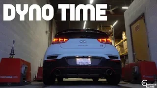 GarageLine: 2019 Veloster N Performance Pack Baseline Dyno Results