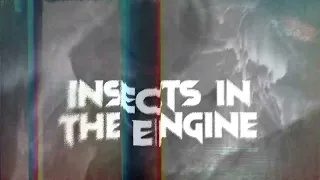 1 Last Chance - Insects in the Engine (Official Lyric Video)
