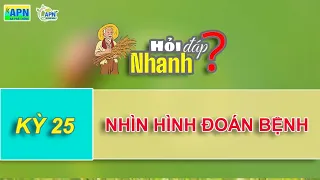 APN - NHÌN HÌNH ĐOÁN DỊCH HẠI - HỎI ĐÁP NHANH KỲ 25