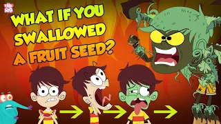 What If You Swallow A Fruit Seed? | Plant Growing In Stomach | The Dr Binocs Show | Peekaboo Kidz