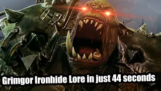 Grimgor Ironhide's Entire Lore in just 43 seconds