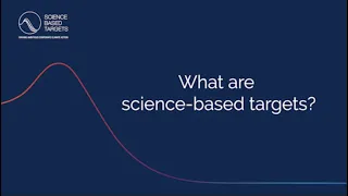 Back to Basics: What are science-based targets?