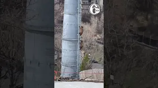 Bear cubs climb Colorado gondola lift tower