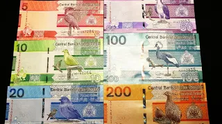 #8 Банкноты Гамбии 2019 / Banknotes of The Gambia #BanknoTime #review #Гамбия #обзор #ультрафиолет