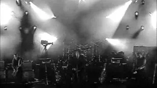 The Cure - Signal to Noise (Festival 2005)